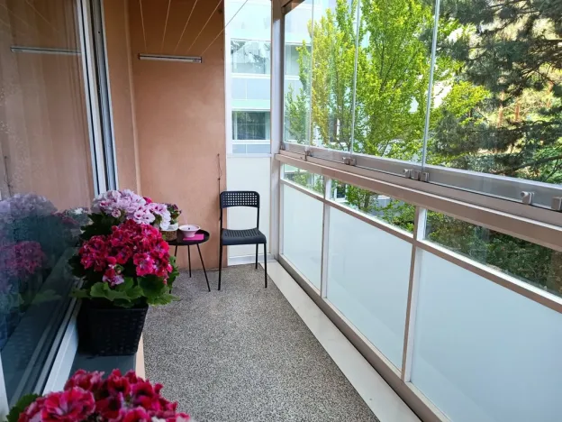 Pronájem bytu 2+kk, Brno, Oderská, 67 m2