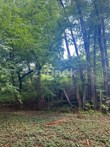 Prodej pozemku, Halenkovice, 1620 m2
