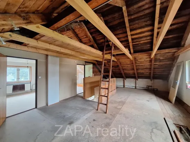 Prodej vícegeneračního domu, Zlatá Olešnice, 400 m2