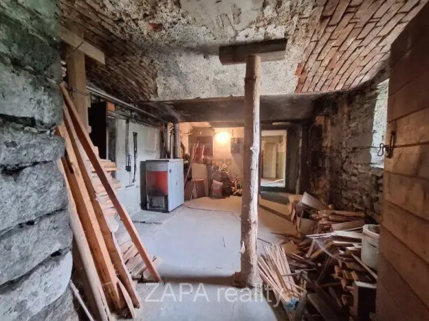 Prodej vícegeneračního domu, Zlatá Olešnice, 400 m2