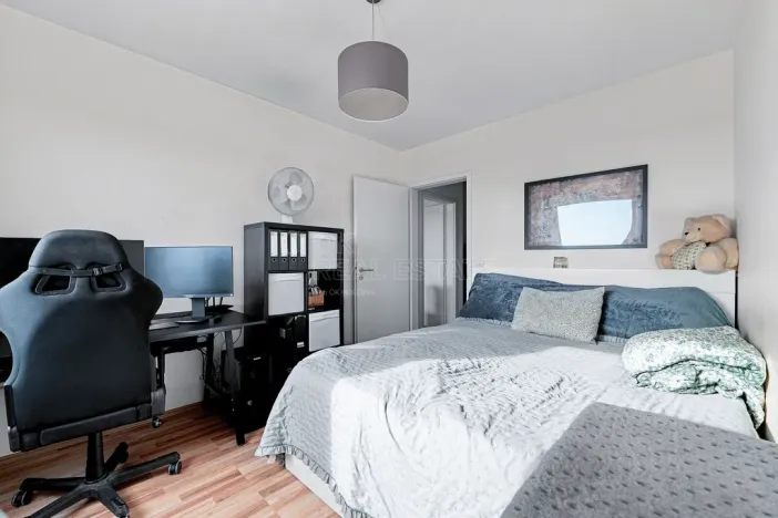 Pronájem bytu 2+kk, Plzeň, Studentská, 45 m2