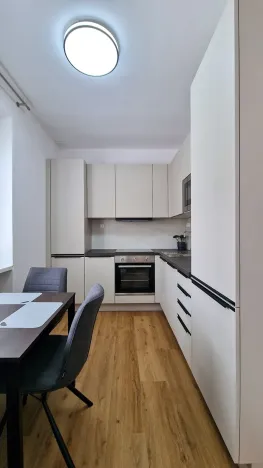 Pronájem bytu 2+1, Lovosice, Sady pionýrů, 56 m2