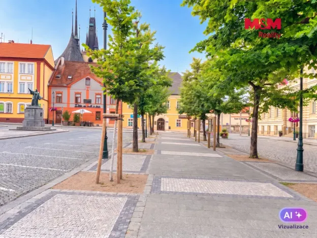 Pronájem bytu 2+1, Louny, Mírové náměstí, 58 m2