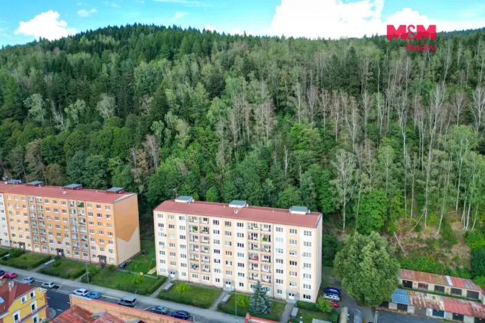 Prodej bytu 2+1, Kraslice, Čs. armády, 54 m2