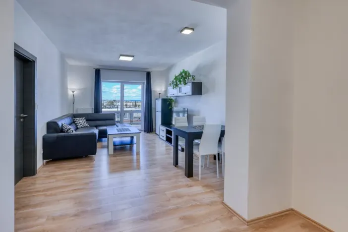 Pronájem bytu 2+kk, Plzeň, U Borských kasáren, 52 m2
