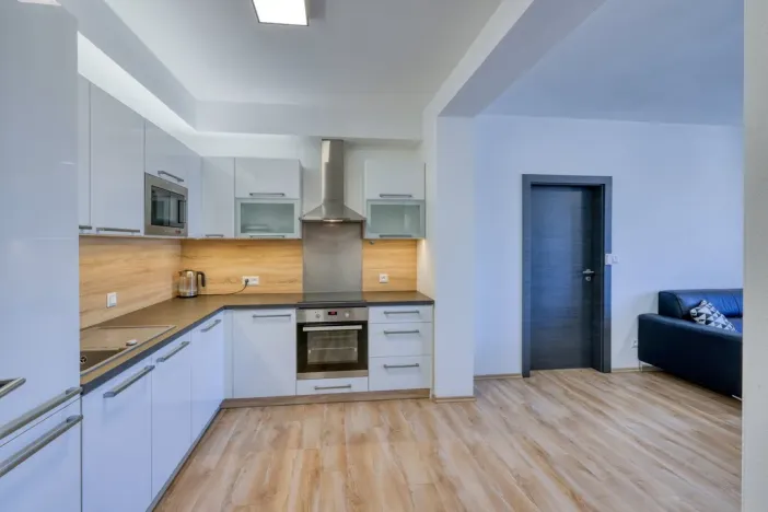 Pronájem bytu 2+kk, Plzeň, U Borských kasáren, 52 m2