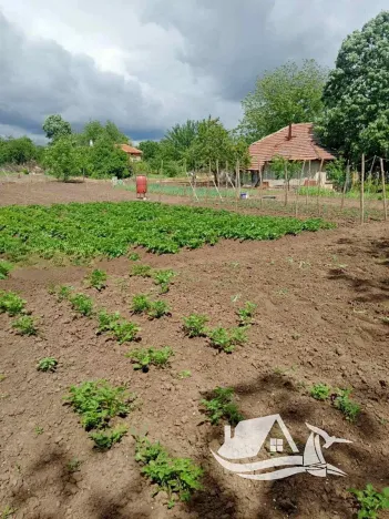 Prodej rodinného domu, Pavel, Bulharsko, 80 m2