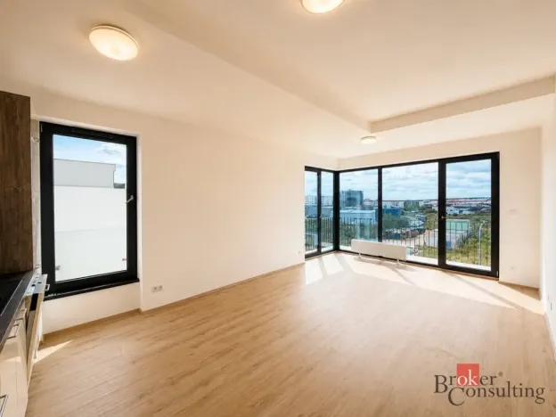 Pronájem bytu 2+kk, Plzeň - Jižní Předměstí, Železná, 57 m2