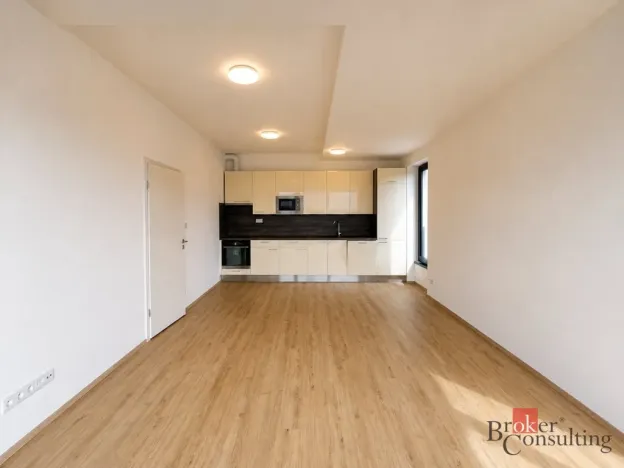 Pronájem bytu 2+kk, Plzeň - Jižní Předměstí, Železná, 57 m2