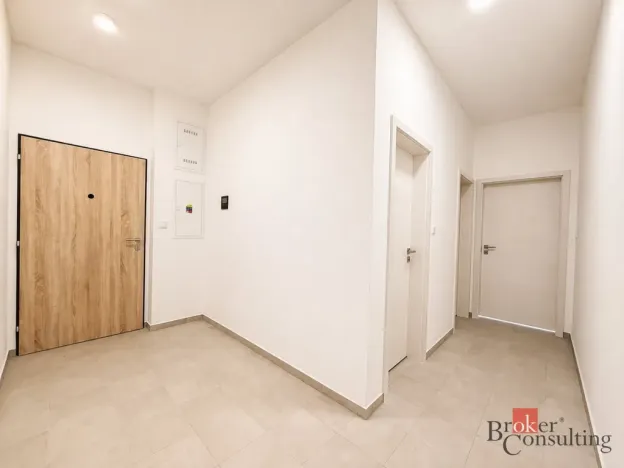 Pronájem bytu 2+kk, Plzeň - Jižní Předměstí, Železná, 57 m2