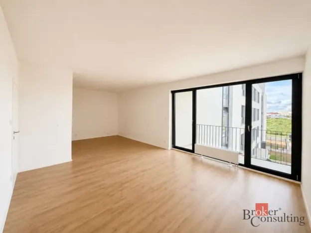 Prodej bytu 2+kk, Plzeň - Jižní Předměstí, Železná, 58 m2