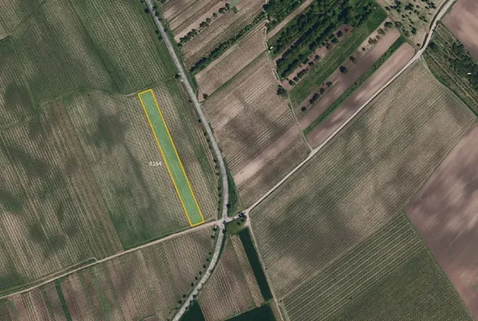 Prodej sadu/vinice, Kobylí, 17433 m2