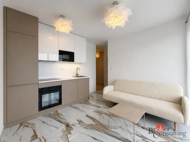 Pronájem bytu 2+kk, Plzeň - Jižní Předměstí, Železná, 36 m2