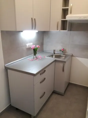 Prodej bytu 2+kk, Ostrava - Hrabůvka, Dr. Martínka, 36 m2
