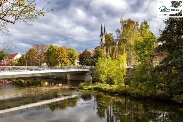 Prodej bytu 1+kk, Cheb, Havlíčkova, 46 m2