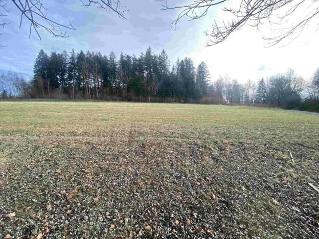 Prodej pole, Černá v Pošumaví - Bližná, 2972 m2