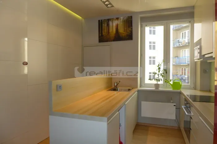 Pronájem bytu 1+1, Plzeň - Východní Předměstí, Suvorovova, 57 m2