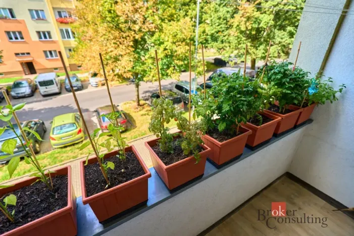 Prodej bytu 2+1, Ostrov, Masarykova, 55 m2