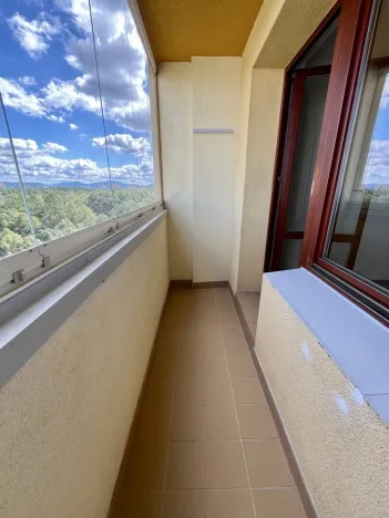 Pronájem bytu 1+kk, Ostrava, Čujkovova, 28 m2