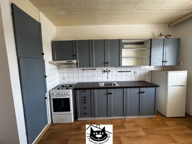 Pronájem bytu 2+1, Praha, Krupská, 70 m2