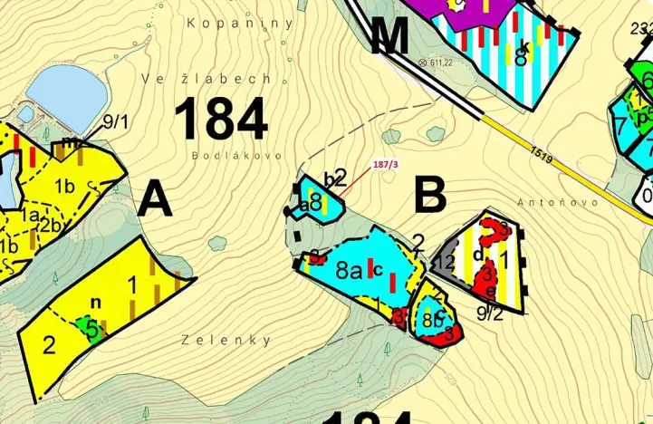Dražba lesa, Volfířov, 80 m2
