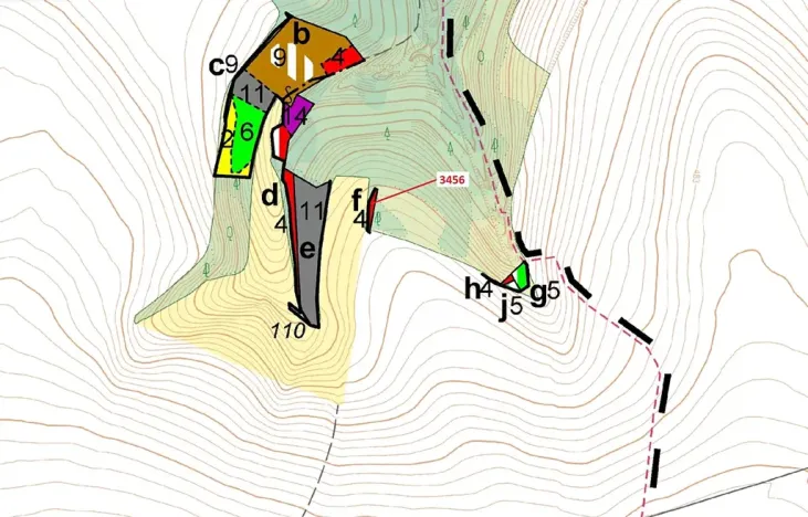 Dražba lesa, Bělá nad Svitavou, 212 m2