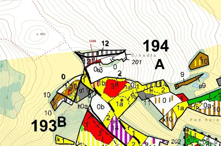 Dražba lesa, Volfířov, 536 m2