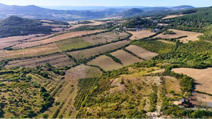 Prodej pole, Kamýk, 6102 m2