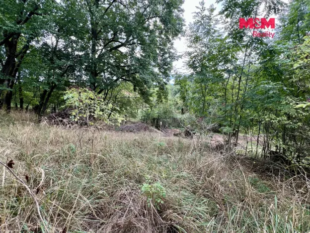 Prodej pozemku pro bydlení, Pyšely - Zaječice, 2037 m2