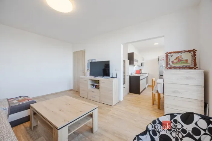 Pronájem bytu 2+kk, Jihlava, Březinova, 53 m2