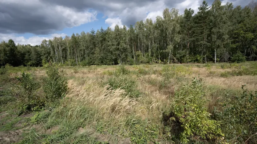 Prodej pozemku, Ralsko - Kuřívody, 1255 m2