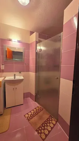 Prodej rodinného domu, Havířov, Ovocná, 355 m2