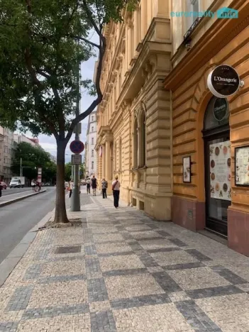 Pronájem restaurace, Praha, Francouzská, 100 m2