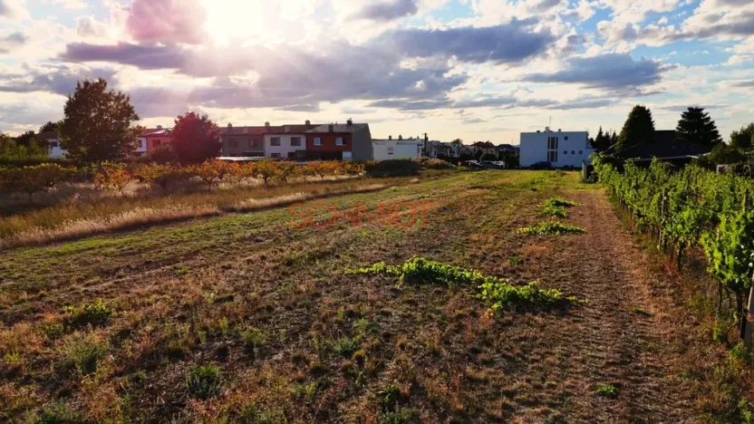Prodej pozemku pro bydlení, Lanžhot, Školní, 491 m2