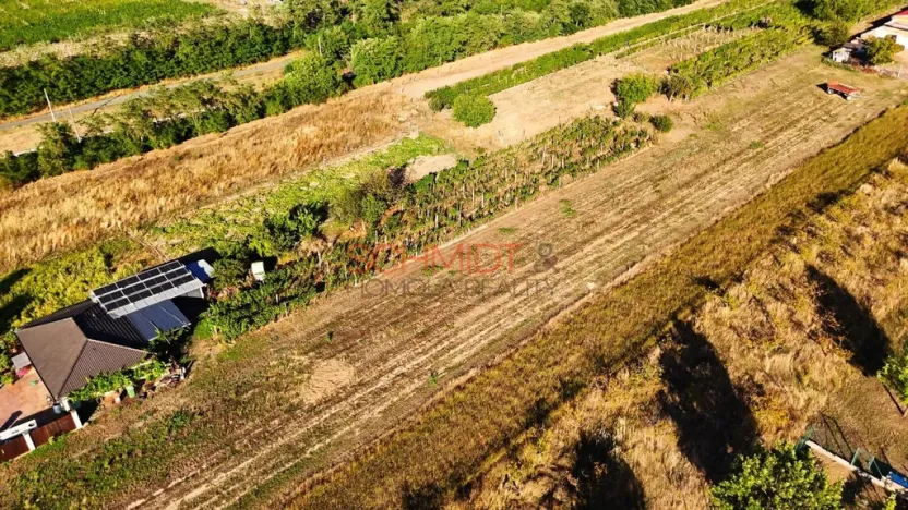 Prodej pozemku pro bydlení, Lanžhot, Školní, 491 m2