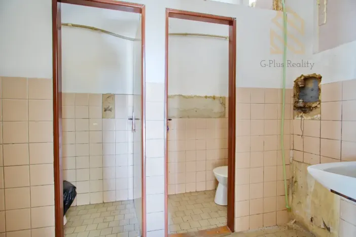 Prodej obchodního prostoru, Děčín - Děčín VI-Letná, Dělnická, 203 m2