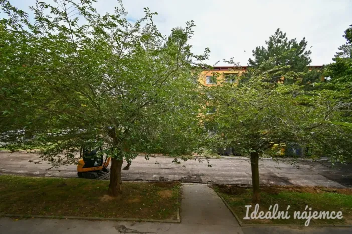 Pronájem bytu 2+1, Brno, Vondrákova, 50 m2