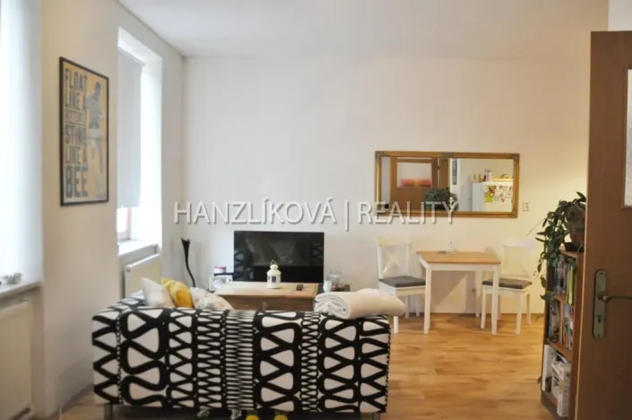 Pronájem bytu 1+kk, České Budějovice - České Budějovice 3, Klaricova, 36 m2