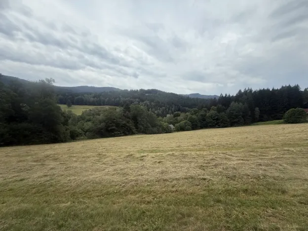 Prodej louky, Hamry, 84928 m2