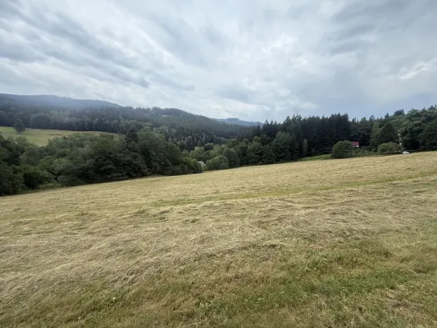 Prodej louky, Hamry, 84928 m2