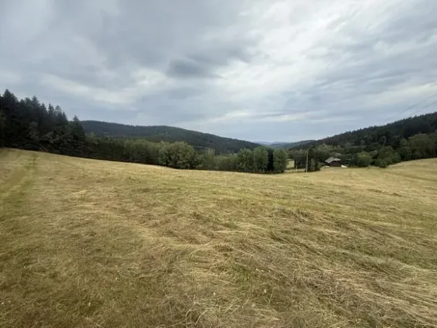 Prodej louky, Hamry, 84928 m2