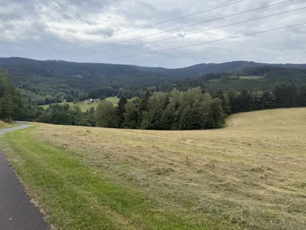 Prodej louky, Hamry, 84928 m2