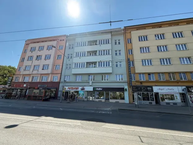 Pronájem bytu 2+1, Plzeň - Východní Předměstí, Americká, 97 m2