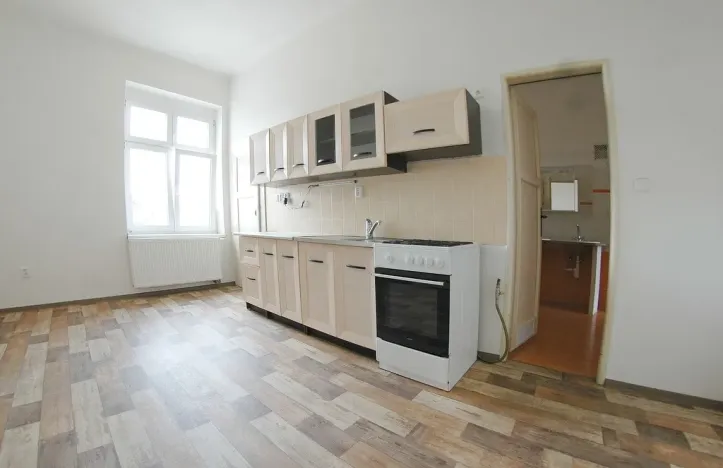 Pronájem bytu 2+1, Plzeň - Východní Předměstí, Americká, 97 m2