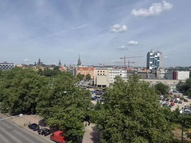 Pronájem bytu 2+1, Plzeň - Východní Předměstí, Americká, 97 m2