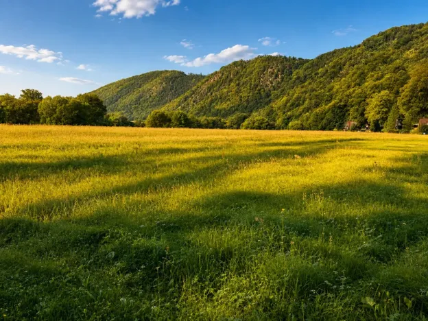 Prodej chaty, Kladruby - Hřešihlavy, 43 m2