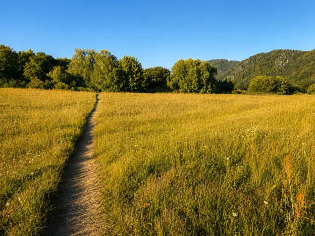 Prodej chaty, Kladruby - Hřešihlavy, 43 m2