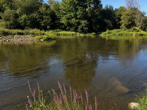 Prodej chaty, Kladruby - Hřešihlavy, 43 m2
