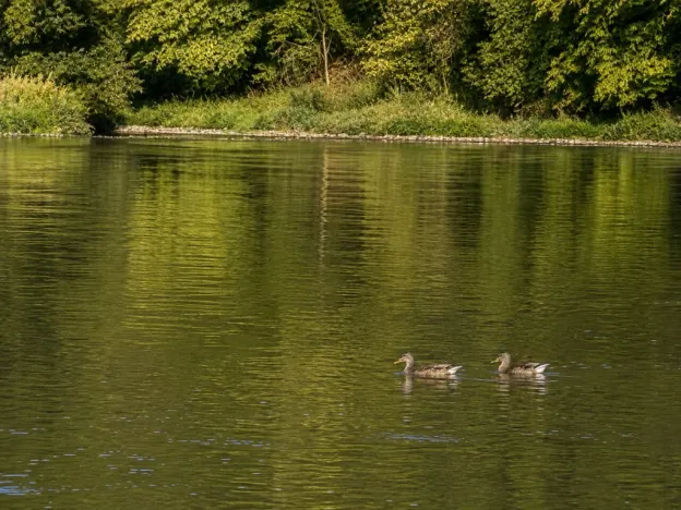 Prodej chaty, Kladruby - Hřešihlavy, 43 m2
