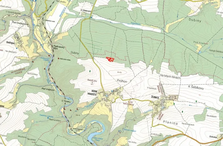 Prodej lesa, Plasy, 10814 m2
